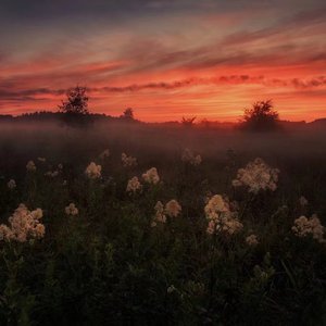 欧美sm打屁股姜罚视频
