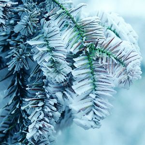 欧美sm打屁股姜罚视频
